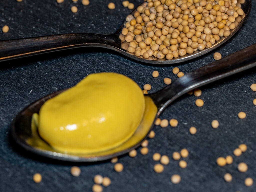 Deux cuillères, l'une remplie de graines de moutarde, l'autre de moutarde jaune, sur une surface sombre parsemée de graines